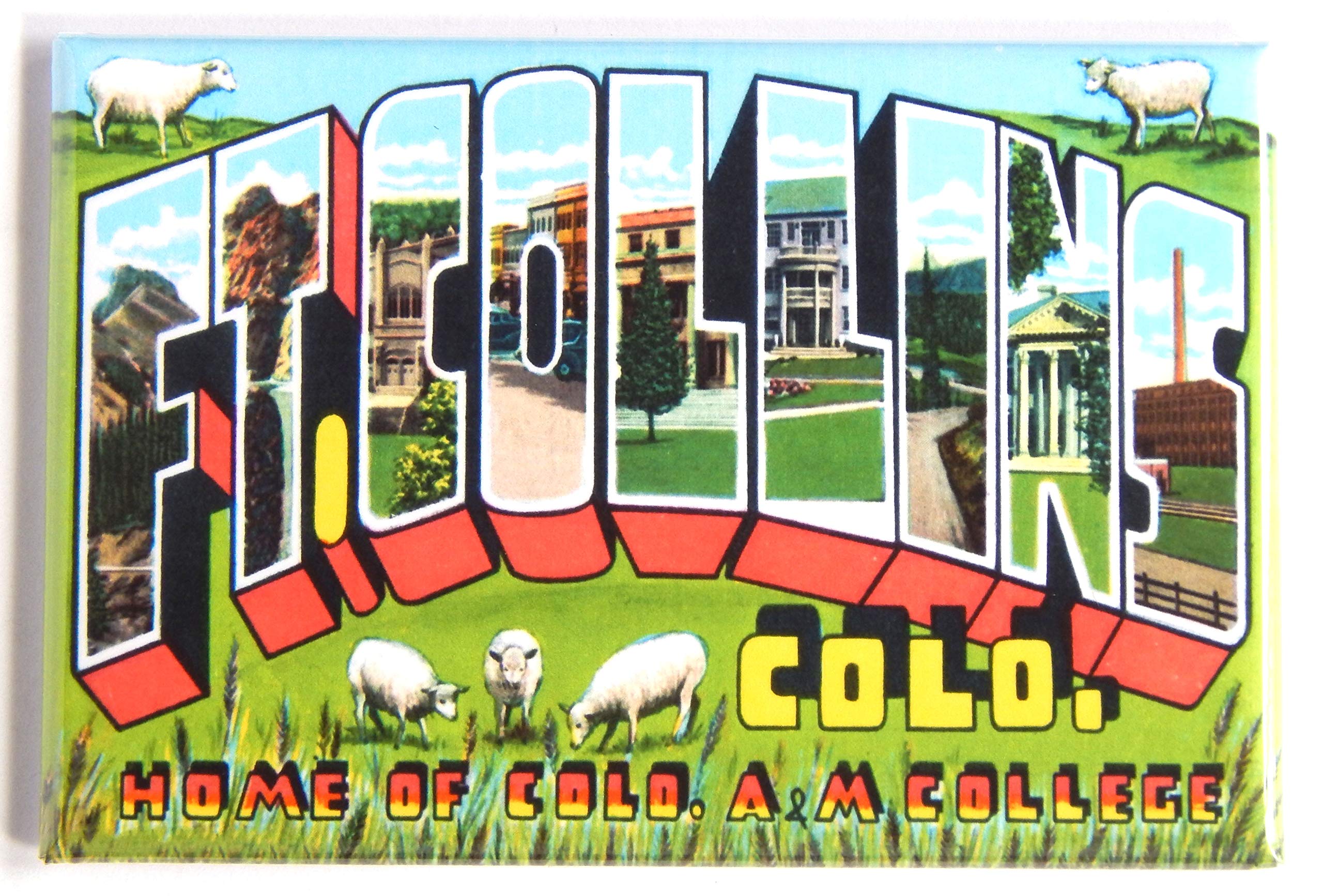 Greetings from Fort Collins Colorado Fridge Magnet (2.5 x 3.5 inches) Style B