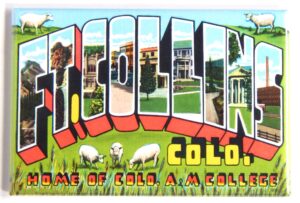 greetings from fort collins colorado fridge magnet (2 x 3 inches) style b