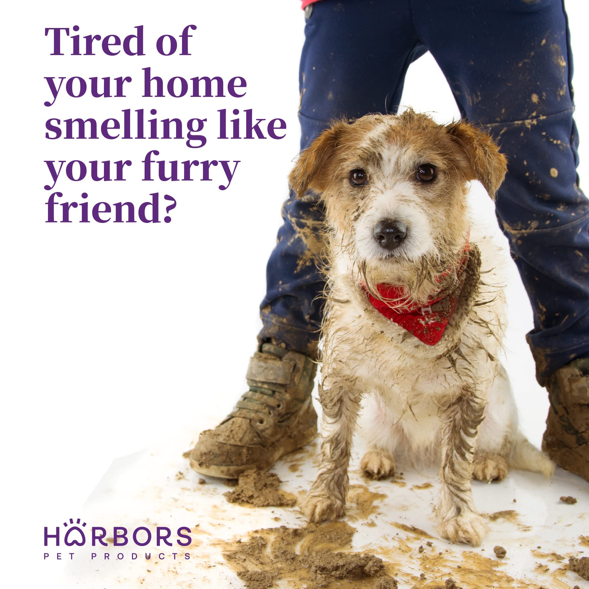 Harbor's Pet Cologne (Clean Cool Water)