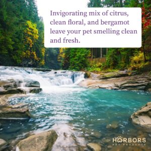 Harbor's Pet Cologne (Clean Cool Water)