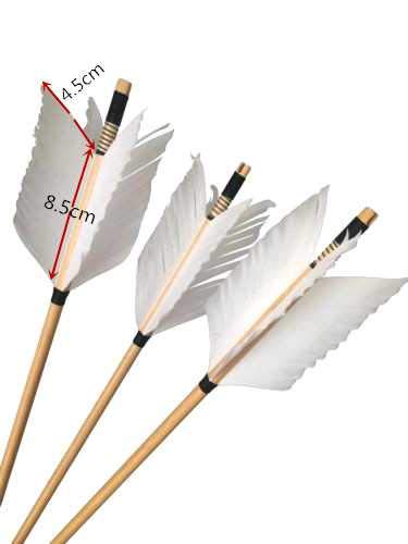 PG1ARCHERY Archery Target Flu-Flu Arrows, 6 Pack Traditional Wooden Arrow 4 Feathers Fletching for Practice Targeting Hunting White 2