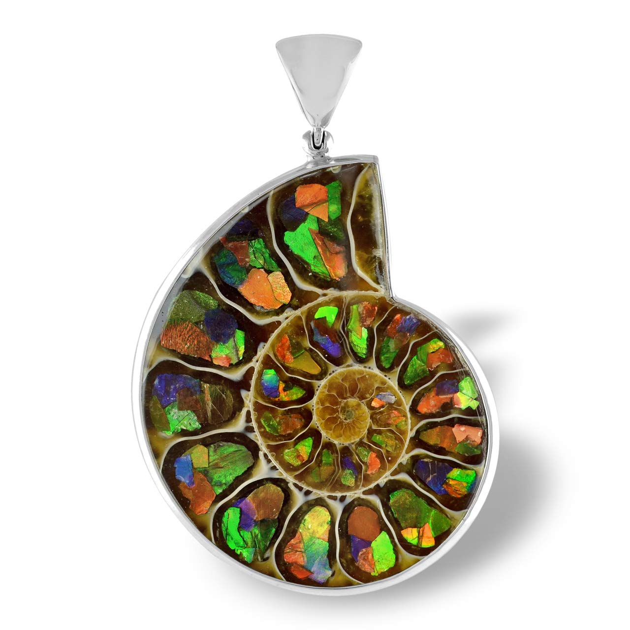 Starborn Sterling Silver Ammonite with Ammolite Inlay Pendant