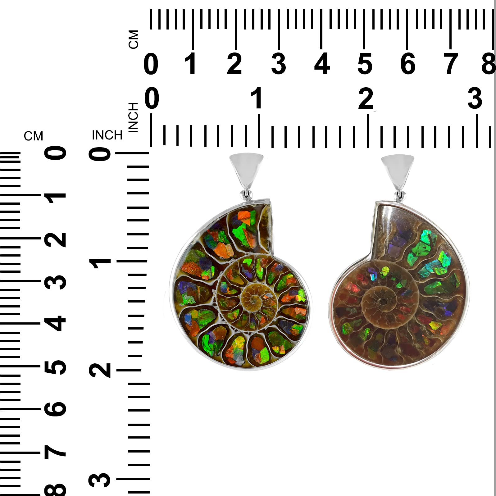 Starborn Sterling Silver Ammonite with Ammolite Inlay Pendant