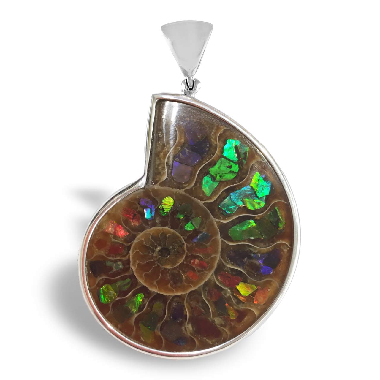 Starborn Sterling Silver Ammonite with Ammolite Inlay Pendant