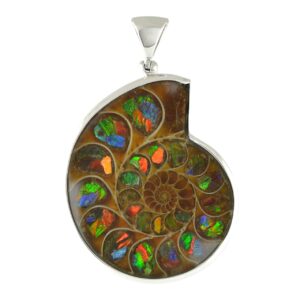 Starborn Sterling Silver Ammonite with Ammolite Inlay Pendant