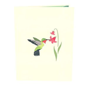 Liif Hummingbird Mother's Day 3D Greeting Pop Up Card Card For All Occasions, Father's Day, Happy Birthday, Anniversary, Retirement, Thinking Of You, Get Well, Hummingbird Gifts For Women, Bird Lover