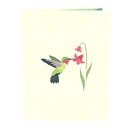 Liif Hummingbird Mother's Day 3D Greeting Pop Up Card Card For All Occasions, Father's Day, Happy Birthday, Anniversary, Retirement, Thinking Of You, Get Well, Hummingbird Gifts For Women, Bird Lover