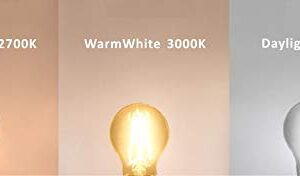 12 Volt 24 Volt Low Voltage G15 LED Light Bulb RV Camper Marine landscape 2W 250lm Edison Incandescent Bulb 25W Off Grid Solar Battery System Lighting Standard E26 Base Warmwhite 2700K (Pack of 4)