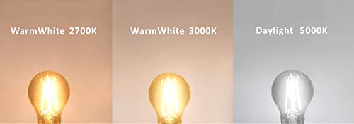 12 Volt 24 Volt Low Voltage G15 LED Light Bulb RV Camper Marine landscape 2W 250lm Edison Incandescent Bulb 25W Off Grid Solar Battery System Lighting Standard E26 Base Warmwhite 2700K (Pack of 4)