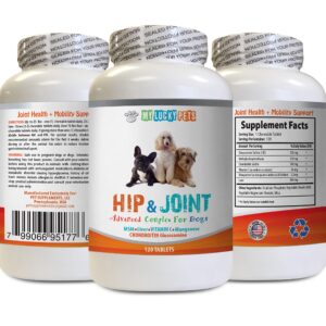 My Lucky Pets Dog Hip and Joint Complex - Vet Approved - Powerful Formula - Immune Support - Increase Joint Mobility - Dog glucosamine and condroidin Supplement - 1 Bottle (120 Tablets)