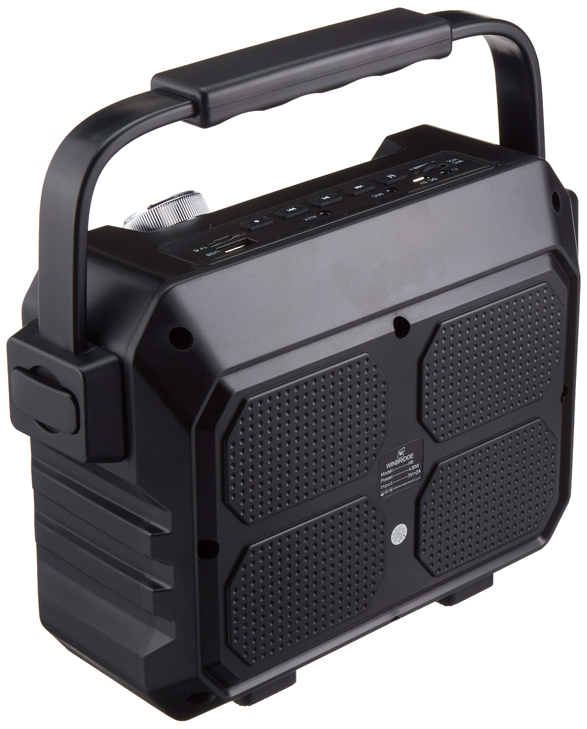 Portable Mini Bluetooth PA System with Wireless Headset Microphone 30W Personal Pa Speaker Rechargeable Voice Amplifier Supports Echo/FM Radio/AUX-in Mode/USB Input/TF Card