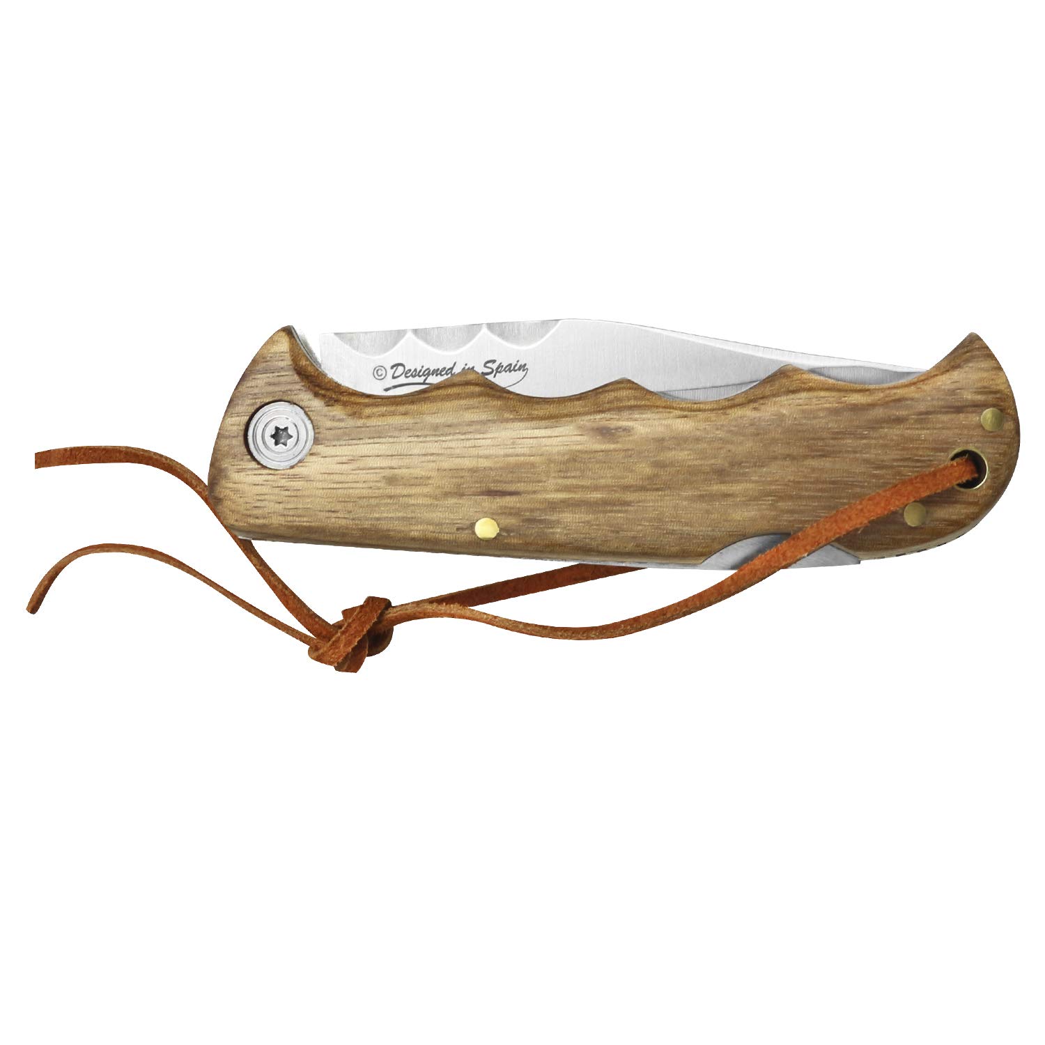 iFIELD Folding knife Camper EL29036 blade, with 4.2 inch zebra wood handle, total 8 inch, includes cord, camping tool for fishing, hunting, sport activity.