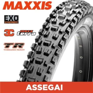 Maxxis Assegai 29 x 2.50 WT 60 TPI Foldable 3C MaxxTerra EXO/TR Tyre 29 x 2.5 inches, Black,TB00163000