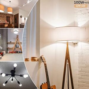 Amazing power 100W Equivalent E26 LED Bulbs, Daylight White Non-Dimmable Medium Screw Base Light Bulbs 6500K, 4-Pack