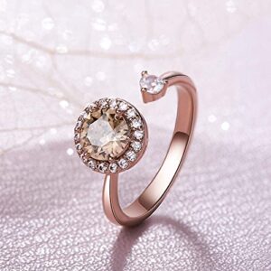 Fonsalette Fidget Ring Birthstone Rings for Women Thumb Rings Fidget Ring Women Rose Gold Ring Spinner Ring Anxiety Ring for Women Cubic Zirconia Ring