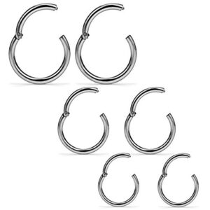 scerring 3 pairs 16g g23 titanium hinged clicker segment septum nose lip ring hoop cartilage tragus sleeper earrings body piercing jewelry 8mm 10mm 12mm