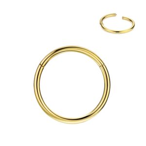 fansing big nose rings hoops for women 20g 9mm nose hoop 20 gauge septum rings gold cartilage earrings hoop lip rings helix rook nose piercing jewelry surgical steel septum jewelry