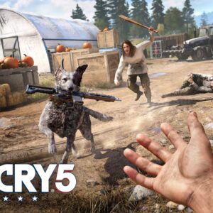 Far Cry 4 + Far Cry 5 (PS4)