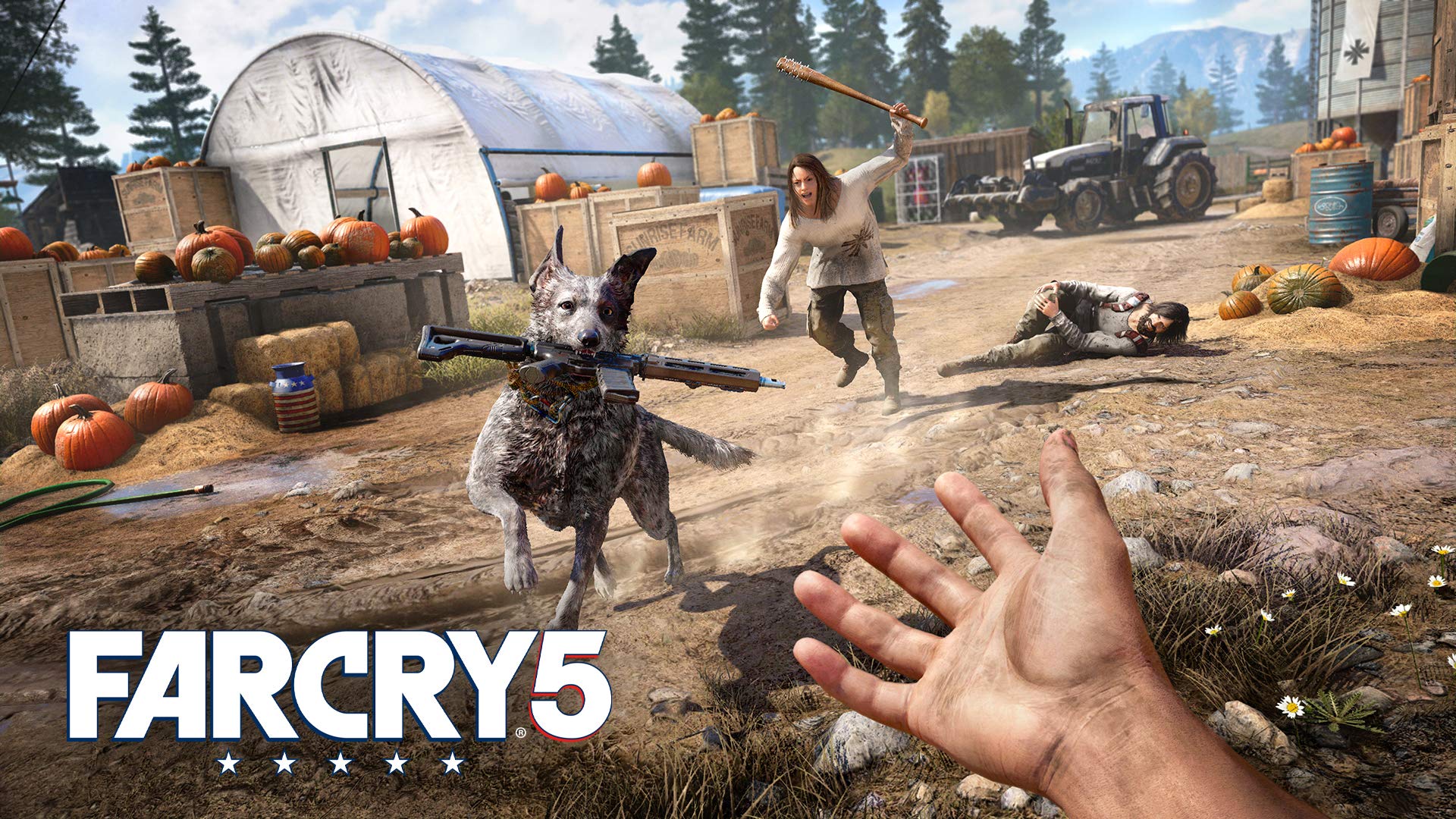 Far Cry 4 + Far Cry 5 (PS4)