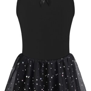 DANSHOW Ballet Leotards for Girls Dance Camisole Dress with Shiny Tutu Skirt(4041-06-M)