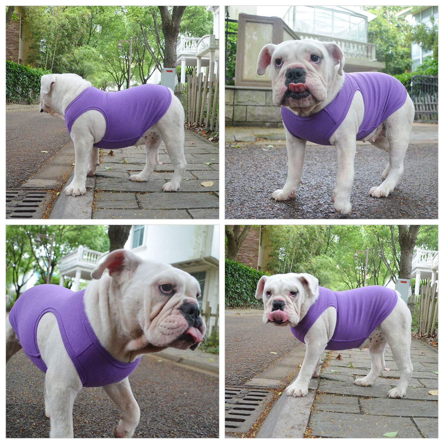 Lovelonglong 2019 Summer Pet Clothing, Dog Clothes Blank T-Shirts Ribbed Tanks Top Thread Vests for Large Medium Small Dogs 100% Cotton Purple L