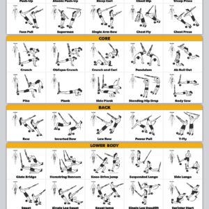 QuickFit 2 Pack Suspension Workout Posters - Volume 1 & 2 - LAMINATED Exercise Charts - 18" x 24" Vol. 1 & 2