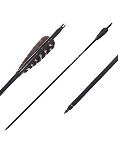 PANDARUS Archery 31-Inch Carbon Hunting Arrows, Turkey Feather Fletching with Replaceable Points, Targeting Practice Arrows Spine 500 for Recurve bow, Longbow, Traditional bow (Black flower)