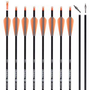 28Inch Carbon Arrow Practice Hunting Arrows Targeting with Removable Tips for Archery Compound & Recurve & Traditional Bow (Pack of 12)