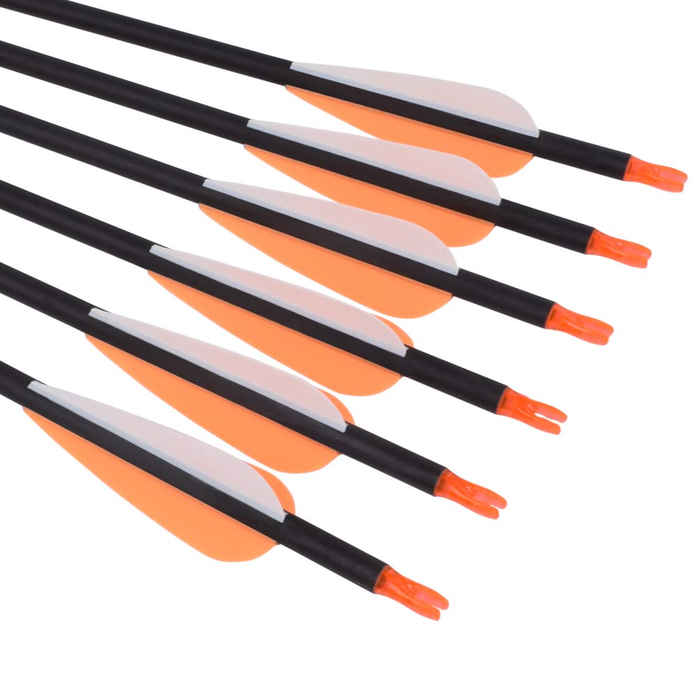 28Inch Carbon Arrow Practice Hunting Arrows Targeting with Removable Tips for Archery Compound & Recurve & Traditional Bow (Pack of 12)