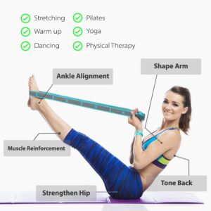 Fitter’s Niche Exercise Resistant Stretch Band, High Elastic Multi-Level Stretching Strap, Ideal for Tone Muscles Physical Therapy Gym Recovery Dancing Flexibility Hamstring,Bonus Carry Bag and E-book