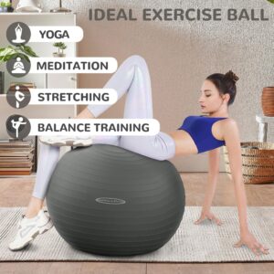 Signature Fitness Anti-Burst and Slip Resistant Exercise Ball Yoga Ball Fitness Ball Birthing Ball with Quick Pump, 2,000-Pound Capacity, Gray, 26-inch, L