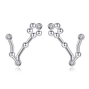 pisces zodiac constellation earrings 925 sterling silver cz horoscope stud earrings for women -viki lynn