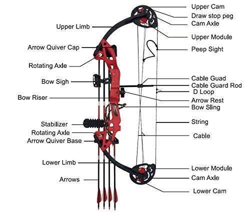 PANDARUS Compound Bow Archery for Youth and Beginner, Right Handed,19”-28” Draw Length,15-29 Lbs Draw Weight, 260 fps (Black Right Handed)