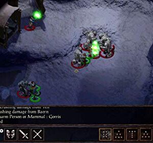 Planescape Torment & Icewind Dale: Enhanced Editions - Nintendo Switch