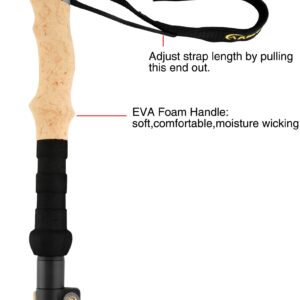 A ALAFEN Walking Stick - Collapsible Trekking Pole for Men and Women,7075 Aluminum Hiking Stick for Seniors