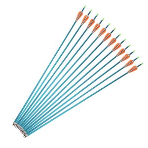 sharrow 30inch archery aluminum arrows target practice hunting arrows spine 500 with removable tips for compound & recurve bow (12 pcs blue shaft)