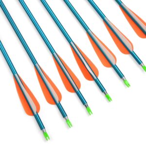 SHARROW 30Inch Archery Aluminum Arrows Target Practice Hunting Arrows Spine 500 with Removable Tips for Compound & Recurve Bow (12 pcs Blue Shaft)