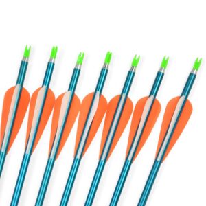 SHARROW 30Inch Archery Aluminum Arrows Target Practice Hunting Arrows Spine 500 with Removable Tips for Compound & Recurve Bow (12 pcs Blue Shaft)