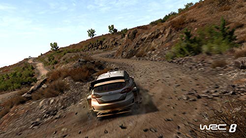 WRC 8: FIA World Rally Championship (XB1)