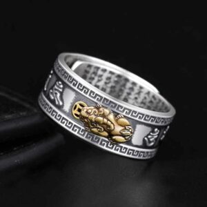 Adjustable FENG Shui PIXIU MANI Mantra Protection Wealth Ring