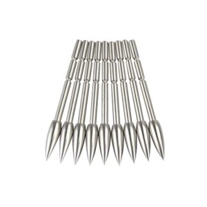 SHARROW 30pcs Archery Insert Arrowhead Stainless Steel Broadheads 80grain 100grain 120grain Arrow Tips for ID 3.2mm Carbon Arrows Shaft (80grain)