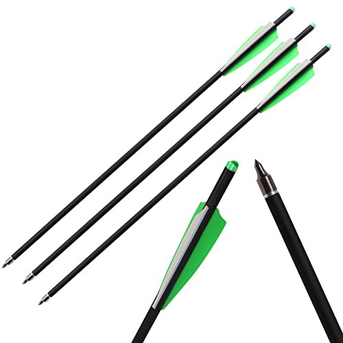 TOPARCHERY 12pcs 22 inch Crossbow Arrows, Hunting Arrows with Replacement Screw-in Point, Crossbow Bolts for Crossbow, Carbon Arrows for Archery ø 8.8 mm