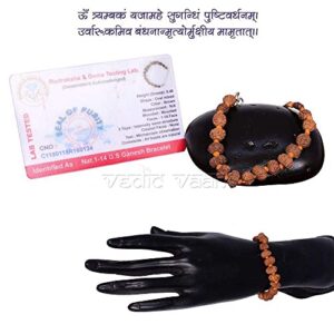 Vedic Vaani Certified 1-14 Mukhi Siddhi Java Rudraksha Bracelet | 1-Face Ek Mukhi Ganesha Vighnaharta Rudraksh Locket (Pack of 2)