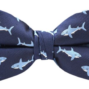 Carahere Mens Bow Ties Handmade Pre-Tied Novel Fun Pattern Bow Ties For Men Light Blue