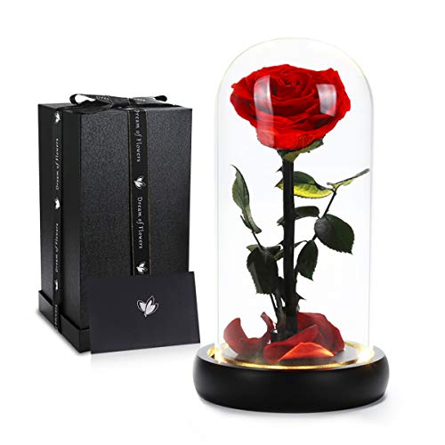 Dream of Flowers Birthday Gifts for Women,Beauty and The Beast Rose, Handmade Preserved Real Rose in Glass Dome on Black Wood with Warm Light, Rose Gifts for Women, Birthday, Anniversary Mothers Day