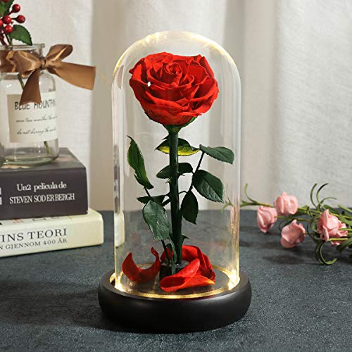 Dream of Flowers Birthday Gifts for Women,Beauty and The Beast Rose, Handmade Preserved Real Rose in Glass Dome on Black Wood with Warm Light, Rose Gifts for Women, Birthday, Anniversary Mothers Day