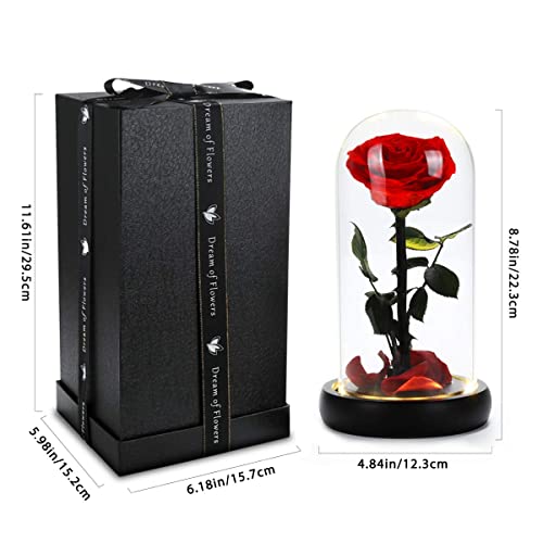 Dream of Flowers Birthday Gifts for Women,Beauty and The Beast Rose, Handmade Preserved Real Rose in Glass Dome on Black Wood with Warm Light, Rose Gifts for Women, Birthday, Anniversary Mothers Day