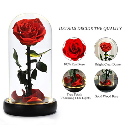 Dream of Flowers Birthday Gifts for Women,Beauty and The Beast Rose, Handmade Preserved Real Rose in Glass Dome on Black Wood with Warm Light, Rose Gifts for Women, Birthday, Anniversary Mothers Day