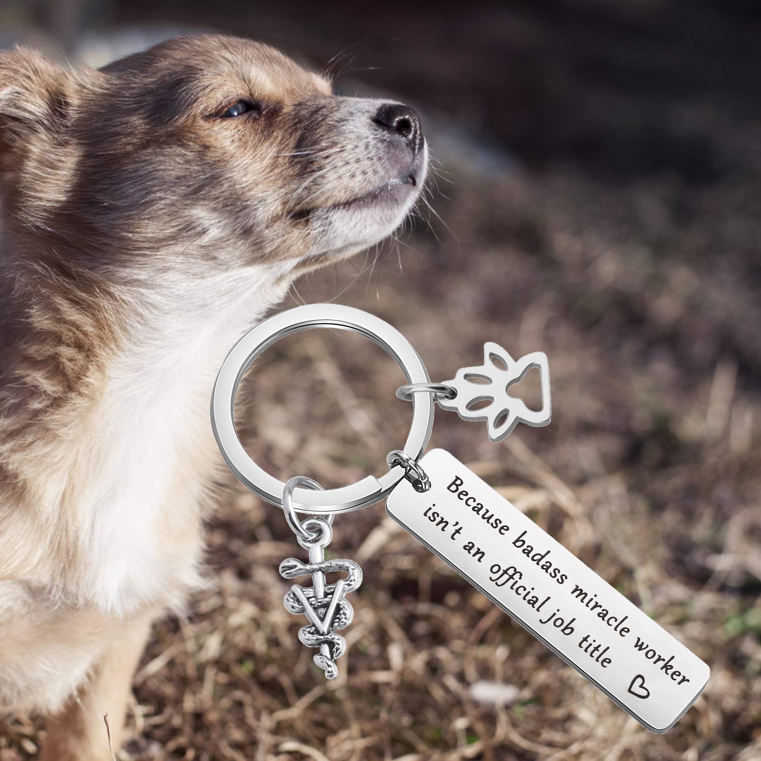 MYOSPARK Veterinarian Keychain Gift Because Badass Miracle Worker Isn't An Official Job Title Vet Tech Appreciation Gift Veterinary Medicine Jewelry (Veterinarian Keychain)