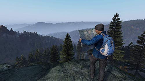 Dayz (PS4)